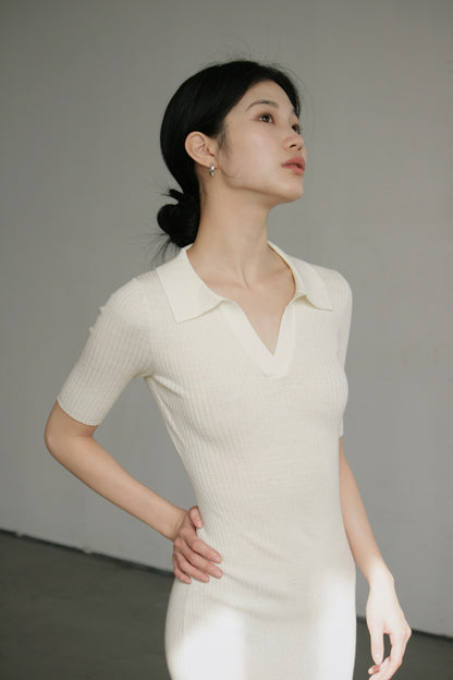 Silk Wool Polo Knit Dress